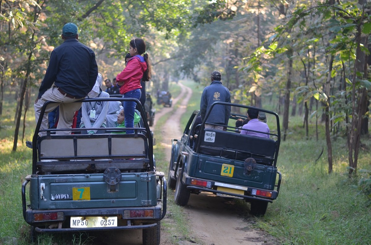 Jungle Safari at Kanha by Travel Jaunts